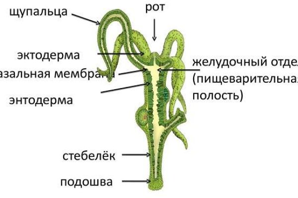 Кракен наркошоп