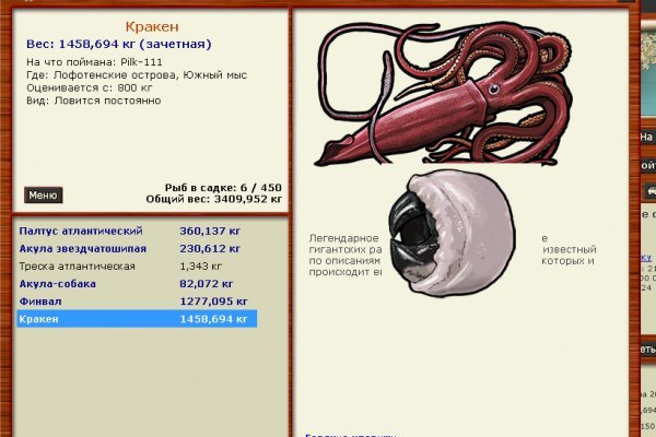 Kraken 19 at