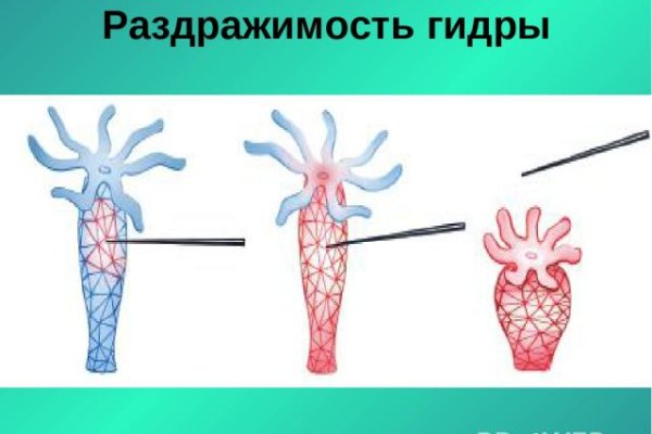 Кракен ссылка